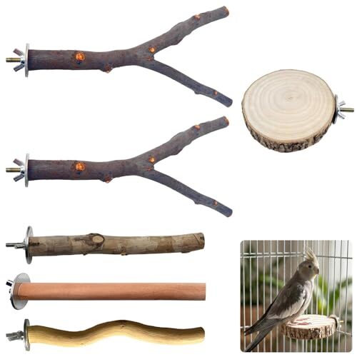 Wooden Bird Perches Set 6 Pack for Parakeets