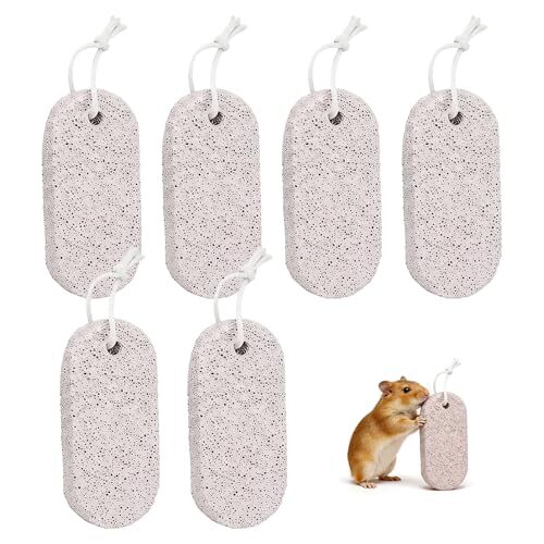 6-Pack Lava Chew Stones for Hamsters
