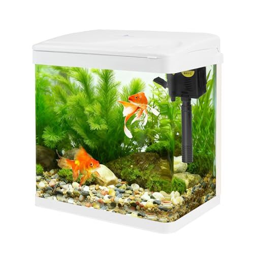 All-In-One Glass Aquarium 8L For Fish
