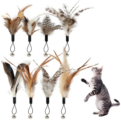 SRIZIAN Cat Feather Toys with Bells, Pack of 8