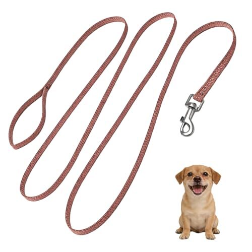 Double-Ended Adjustable Dog Training Lead