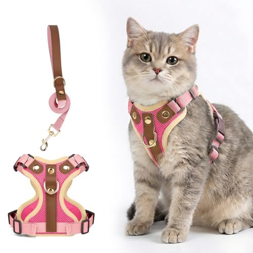 Modernest Reflective Cat Harness for Kittens
