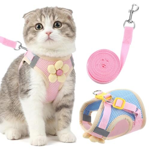 Reflective Pink Cat Harness for Kittens