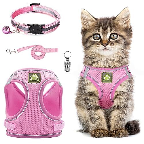 Reflective Cat Harness for Small Cats