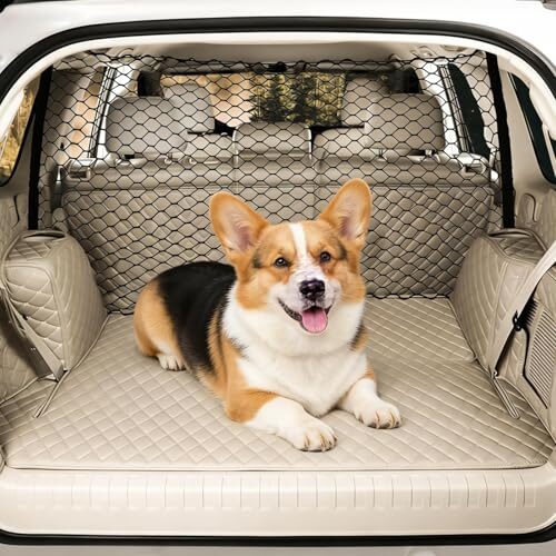 Bamyli Dog Safety Gate for Car Boot and Back Seat