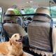 Heavy Duty Dog Safety Gate for Cars and SUVs