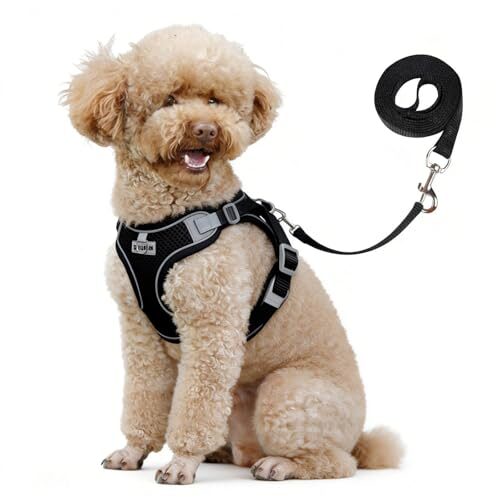 Reflective Dog Harness and Lead Set