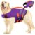 Lelepet Dog Lifejacket Adjustable for Large Dogs
