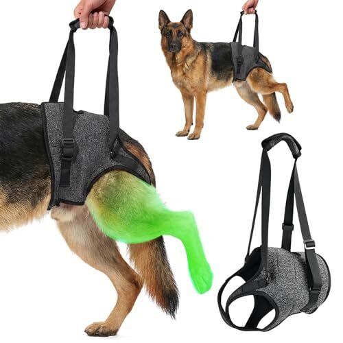 Orthopaedic Dog Sling for Hind Leg Support