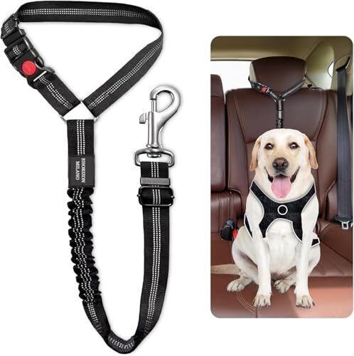 Adjustable Car Seat Belt Lead for Dogs & Cats