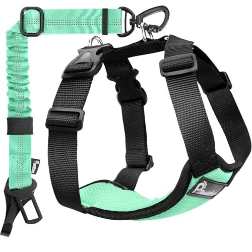 Pawaboo Adjustable Dog Safety Vest for Large Dogs