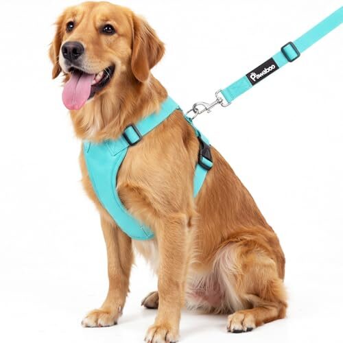 Pawaboo Adjustable Dog Safety Vest for Small and Medium Dogs