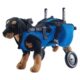 Inscrip Adjustable Dog Wheelchair for Small Dogs