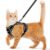 Escape Proof Cat Harness for Kittens