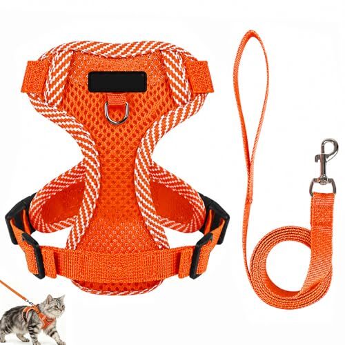 Adjustable Cat Harness and Lead Set for Kittens