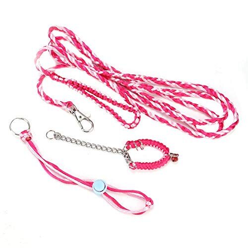 Adjustable Hamster Lead and Collar for Small Animals