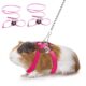 Adjustable Small Animal Harness With Bell