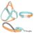 Aiitle No Pull Dog Harness for Medium Dogs
