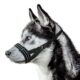 Adjustable Dog Muzzle for Small Dogs