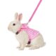 Guduling Adjustable Harness and Lead Set for Small Animals