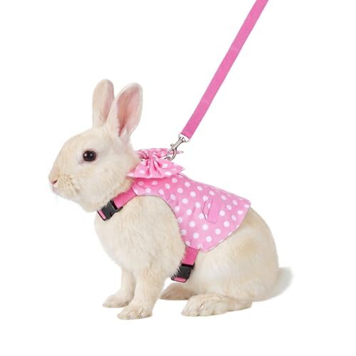 Guduling Adjustable Harness and Lead Set for Small Animals