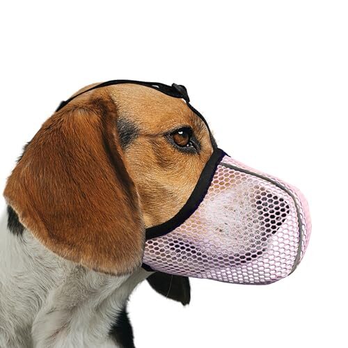 JoyPaws Adjustable Dog Muzzle for Small to Medium Dogs