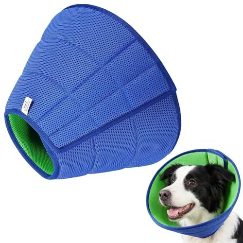 Adjustable Dog Collar for Dogs and Cats