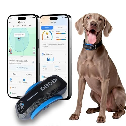 GPS Dog Tracker with AI Health and Virtual Fence