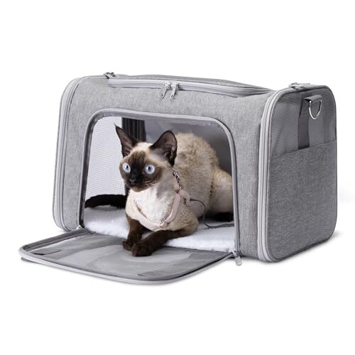 Amazon Basics Cat and Dog Carrier for Small Dogs and Cats