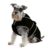 Ancol Reflective Dog Coat for Puppies