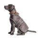 Ancol Reflective Dog Coat for Large Dogs