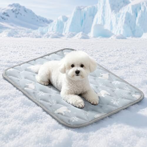 Angelpet Cooling Mat for Small Dogs and Cats