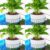 Borlech Hanging Aquarium Corner Planter
