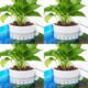 Borlech Hanging Aquarium Corner Planter