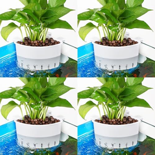 Borlech Hanging Aquarium Corner Planter