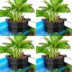 Borlech Hanging Aquarium Corner Planter