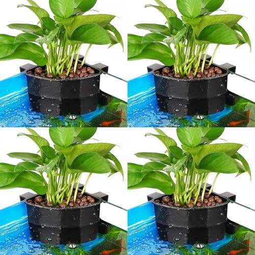 Borlech Hanging Aquarium Corner Planter