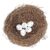 Natural Rattan Bird Nest With 5 Eggs 15cm