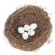 Natural Rattan Bird Nest With 5 Eggs 15cm