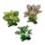 Artificial Vivarium Plants for Reptiles & Fish
