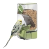 Bird Toys & Accessories