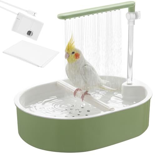 Automatic Bird Bath for Small and Medium Birds