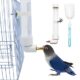 Automatic Parrot Water Dispenser Bottle