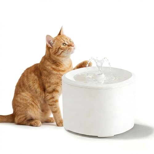 Automatic Cat Fountain for Multiple Pets
