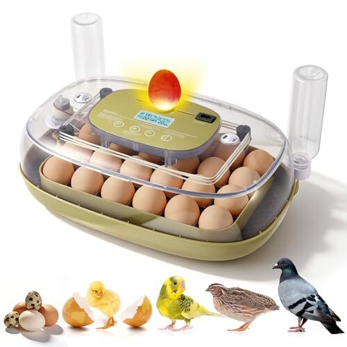 Automatic Egg Incubator for Poultry and Birds