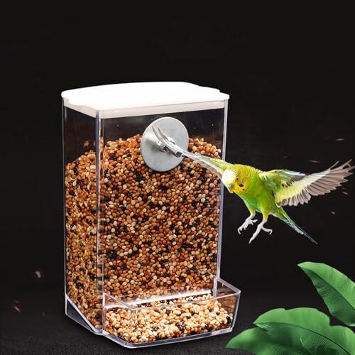 Automatic Bird Feeder for Parakeets