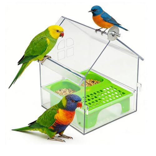Pull-Out Parrot Feeder With Perch (Green)