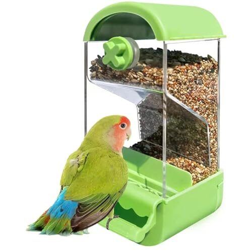 Automatic Green Bird Cage Feeder With Perch