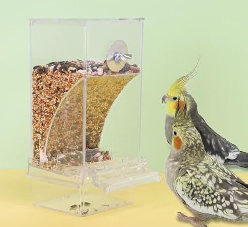 Automatic Bird Feeder for Cages and Aviaries