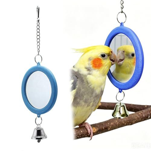 Hanging Bird Mirror with Bell for Budgies